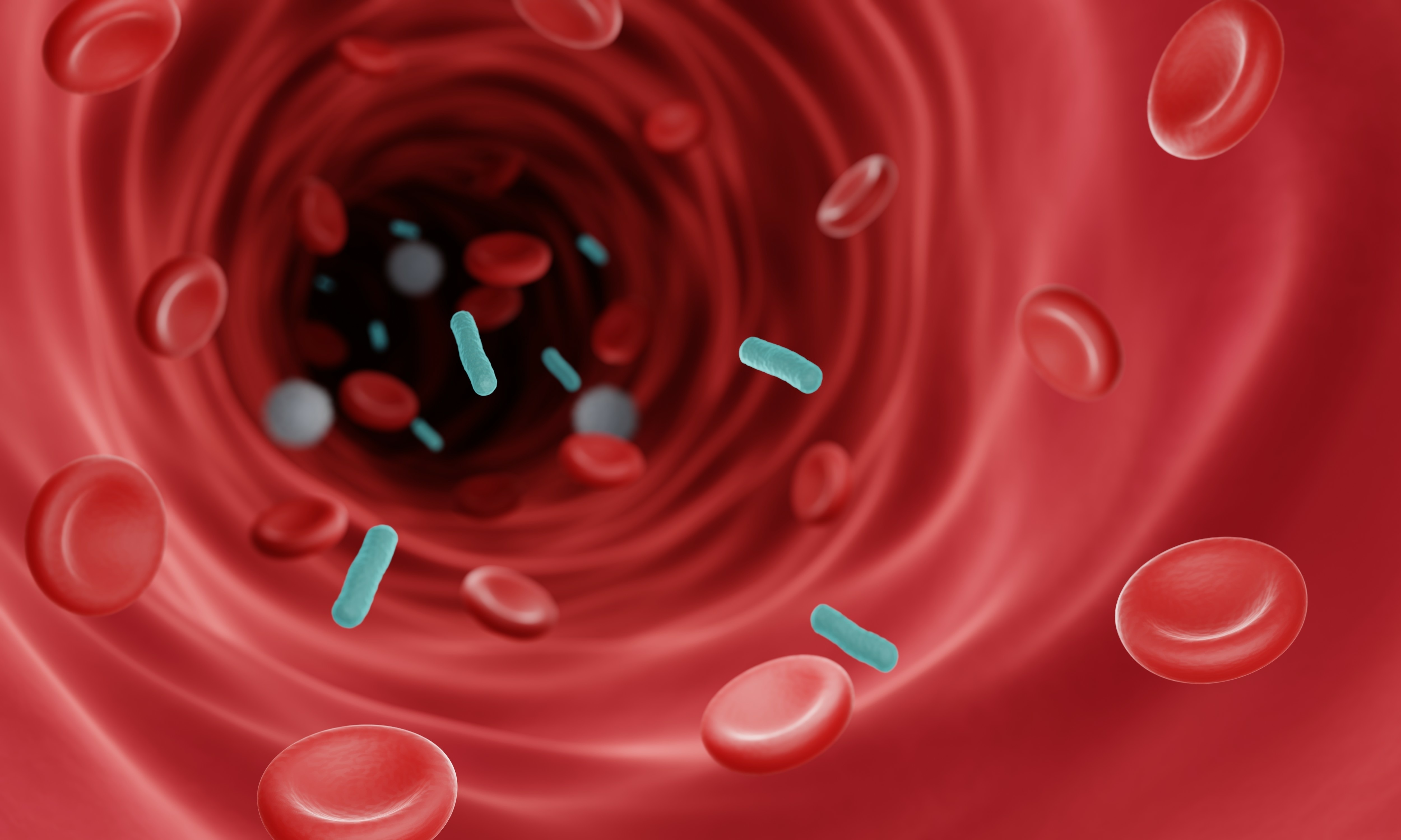 bacterial-sepsis-bsi.jpg