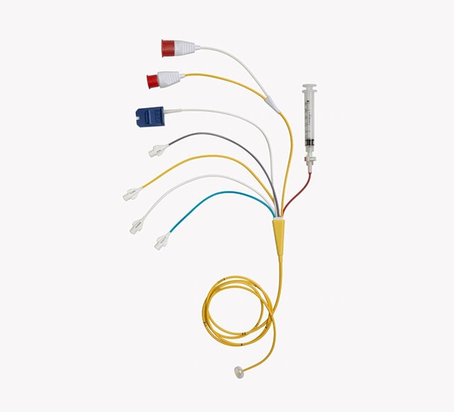 Swan Ganz IQ Pulmonary artery catheter