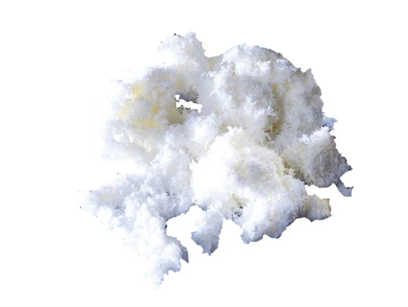 Avitene-Flour